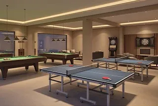 Indoor Games at Vedshree Zenith Vista